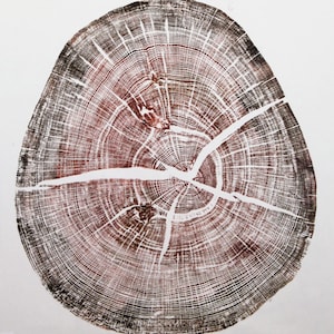 Wytham Woods Oak - Tree Ring Nature Print Oxford Autumnal