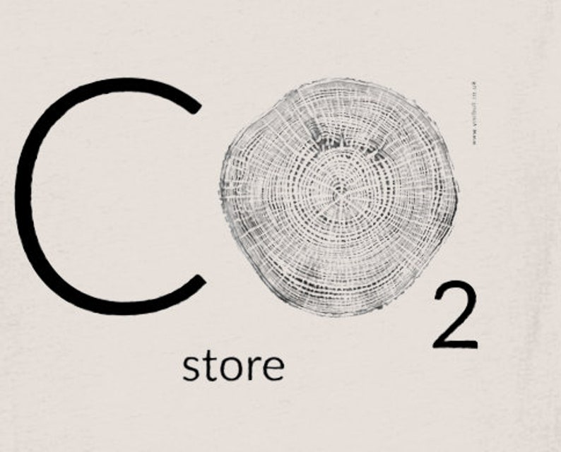 CO2 BUTIK - 100% ekologisk t-shirt miljövänlig klimatförändring trädbudskap bild 2