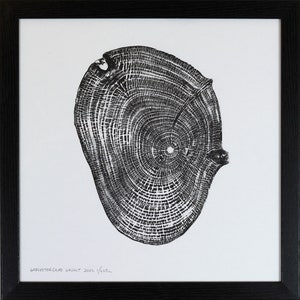 English Walnut - Hand printed Tree Ring Art Print Black 40cm