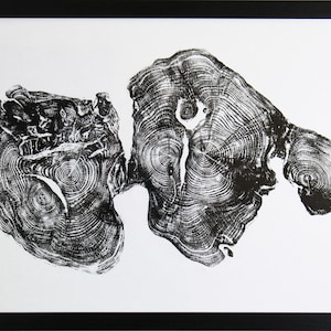 Serie de árboles TEJO, impresión hecha a mano n.º 1: arte original de anillos de árboles