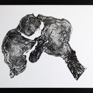 Serie de árboles TEJO, impresión hecha a mano n.º 2: arte original de anillos de árboles