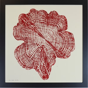 Cedar Star - Hand Printed Tree Ring Art Print in Red Wall Decor