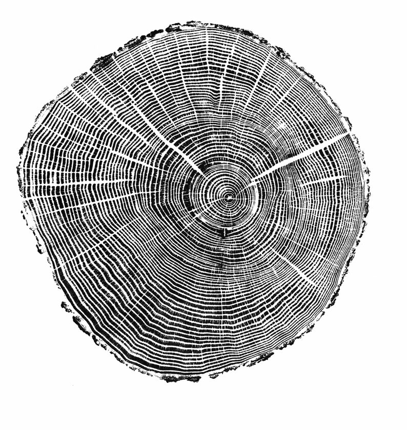 May include: Black and white illustration of a tree trunk cross-section, showing the rings of growth. The rings are concentric circles, with the center of the tree being the smallest circle.