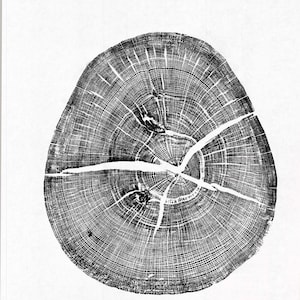 Wytham Woods Oak - Tree Ring Nature Print Oxford Black