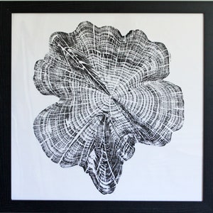 Cedar Star - Handprinted Tree Ring Art Print in Black 60cm