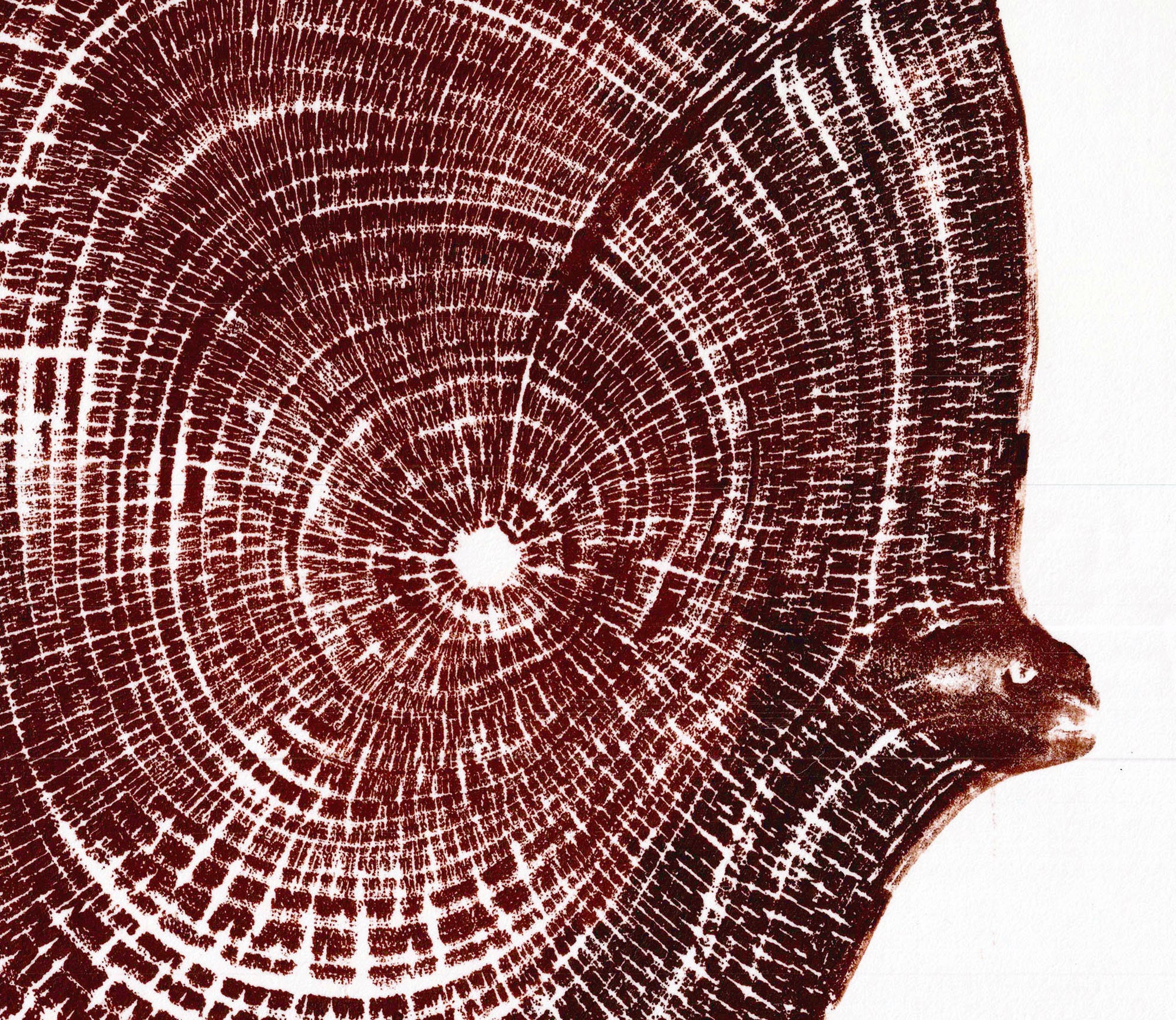 English Walnut - Hand printed Tree Ring Art Print Autumn Brown 40cm