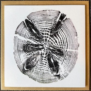 Art / Artist Greeting Card KNOTTY PINE Tree Ring Print Nature Design - plain inside