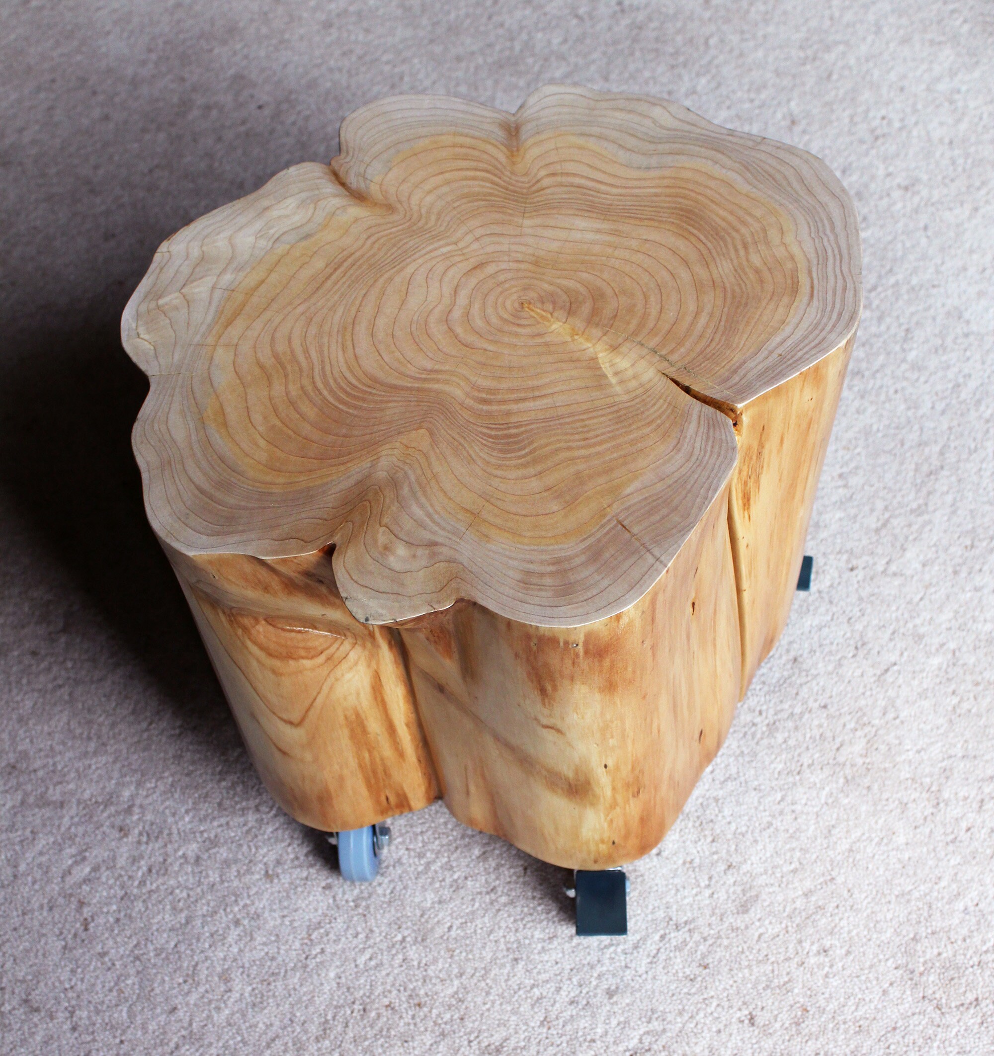 CEDAR Contemporary Lamp /side Table Tree Stump Log With Etsy