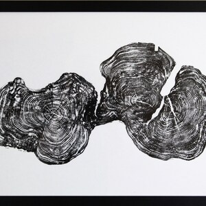 Serie de árboles TEJO, impresión hecha a mano n.º 3: arte original de anillos de árboles