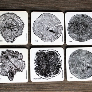 Tree Ring Nature Art Coasters - from handmade artisan print