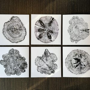 10er-Pack MIXED Art/Artist Greeting Card UK Tree Species Nature Design