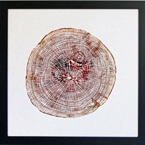 English Oak - Hand printed Tree Ring Art Brown Autumnal Colours 40cm