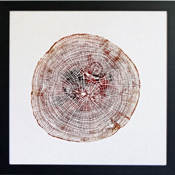 Tree Ring Art Etsy