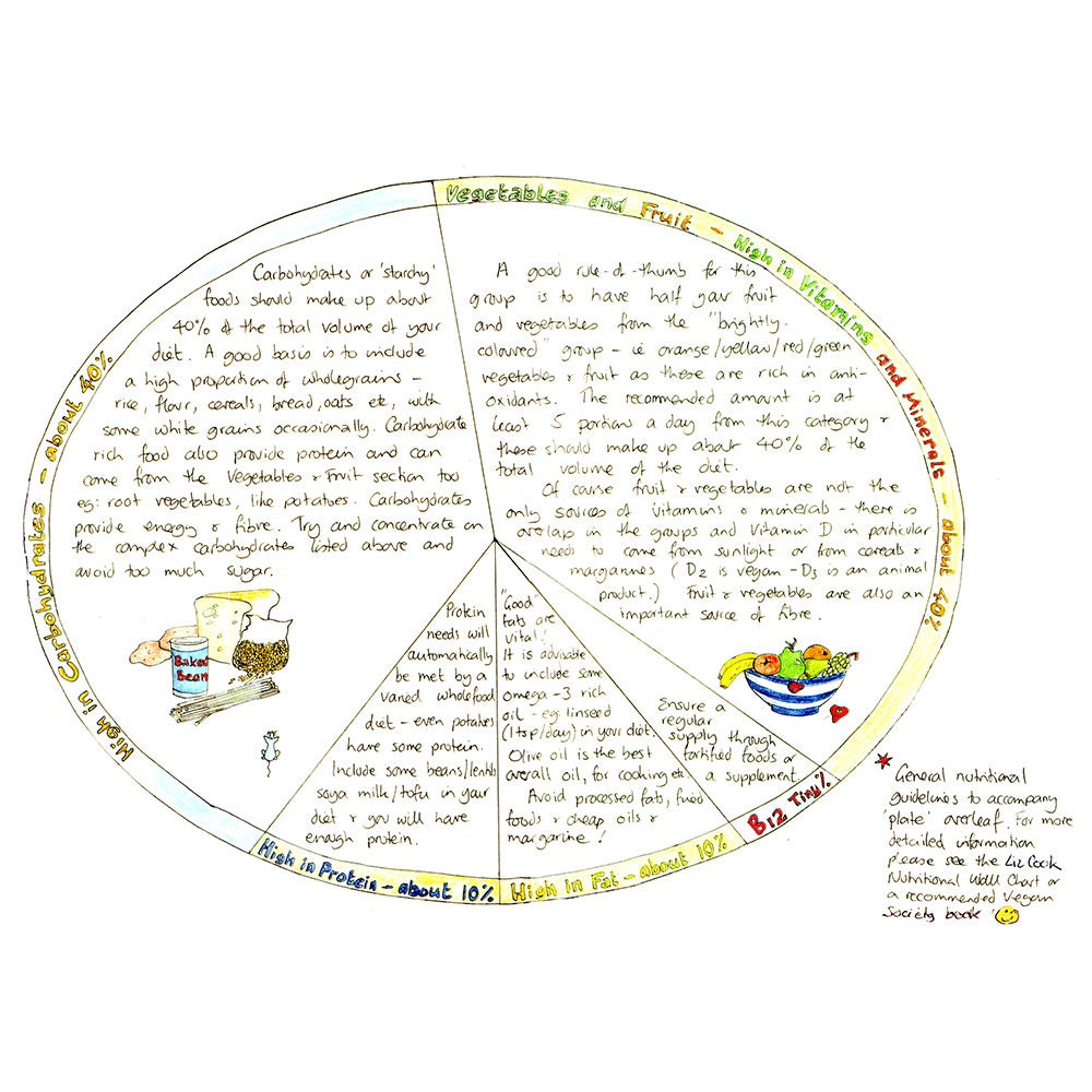 Colouring Plate Chart by Liz Cook Charts - Etsy