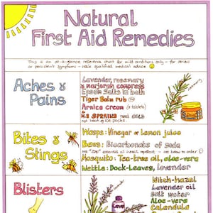 Natural First Aid Remedies Chart by Liz Cook