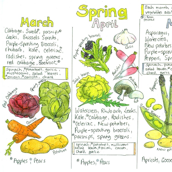 Seasonal UK Fruit and Vegetable Chart by Liz Cook