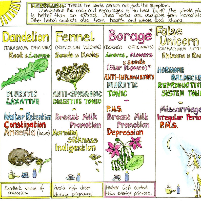 Herbs Chart Pictures