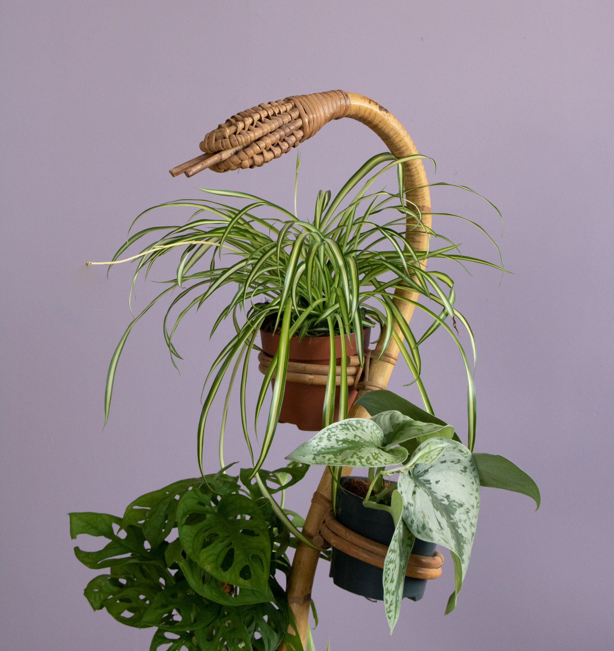 Bamboo snake planter 70s plant stand Etsy