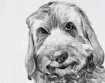 Custom pet drawing | Etsy