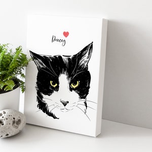 May include: A black and white cat with yellow eyes, drawn in a simple style. The cat's name, "Brucey", is written in cursive above the cat's head, with a red heart next to it.
