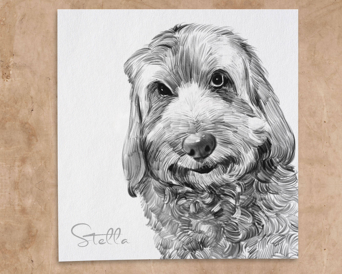 Custom Pet Drawing in Pencil. Pet Portrait Drawing. Pet Etsy