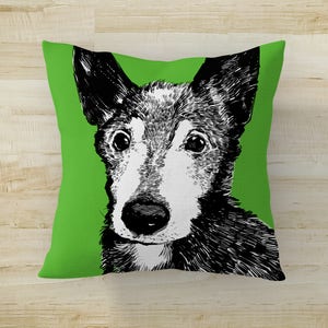 May include: A black and white illustration of a dog's face on a green pillow. The dog has a white patch on its nose and a serious expression.