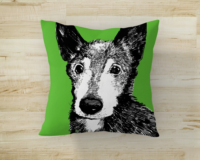 May include: A black and white illustration of a dog's face on a green pillow. The dog has a white patch on its nose and a serious expression.