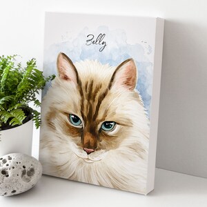 K&ouml;nnte beinhalten: Ein Aquarellbild eines Katers mit blauen Augen. Der Kater ist wei&szlig; mit braunen Flecken und hat ein flauschiges Fell. Das Bild hat einen hellblauen Hintergrund mit wei&szlig;en Aquarellspritzer. Der Text "Belly" ist oben auf dem Bild in Schwarz geschrieben.