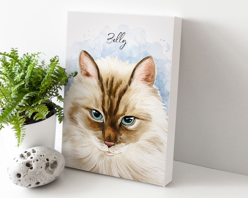 K&ouml;nnte beinhalten: Ein Aquarellbild eines Katers mit blauen Augen. Der Kater ist wei&szlig; mit braunen Flecken und hat ein flauschiges Fell. Das Bild hat einen hellblauen Hintergrund mit wei&szlig;en Aquarellspritzer. Der Text "Belly" ist oben auf dem Bild in Schwarz geschrieben.