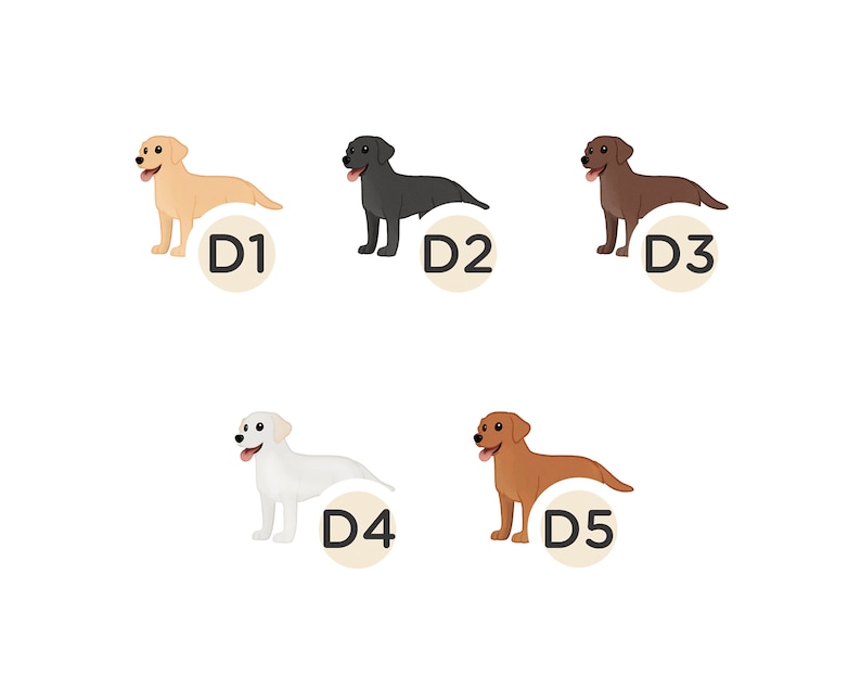 Pode incluir: Cinco c&atilde;es Labrador Retriever de diferentes cores: amarelo, preto, castanho, branco e vermelho. Cada c&atilde;o &eacute; etiquetado com uma letra e um n&uacute;mero, de D1 a D5.