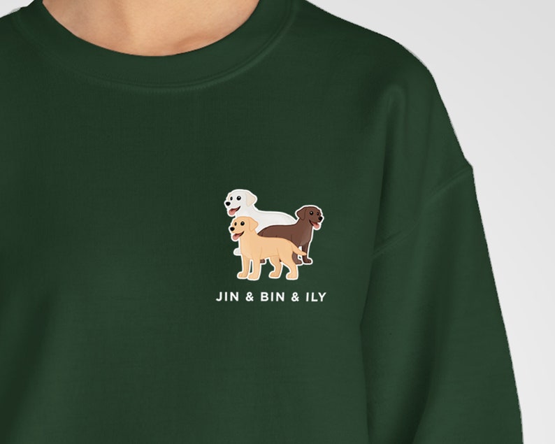 Pode incluir: Uma camisa de moletom verde escura com um gr&aacute;fico branco de tr&ecirc;s labradores. Os c&atilde;es est&atilde;o em linha, com o c&atilde;o branco na frente, seguido por um c&atilde;o amarelo e depois um c&atilde;o marrom. O texto "JIN & BIN & ILY" est&aacute; impresso abaixo dos c&atilde;es.