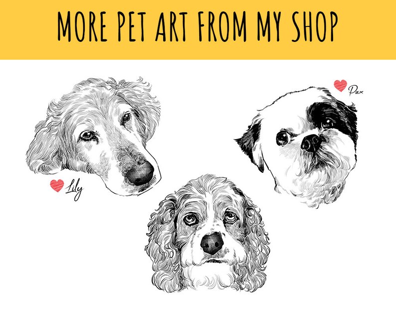 May include: Black and white line drawings of three dogs' faces. The dogs are a Golden Retriever, a Shih Tzu, and a Cocker Spaniel. The names Lily, Pax, and the word "More Pet Art From My Shop" are written in red.