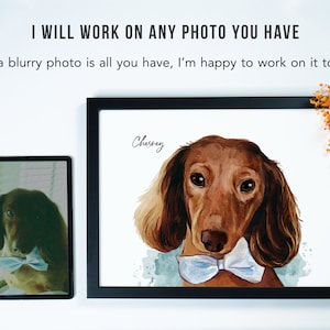 May include: A watercolor painting of a brown dachshund wearing a blue bow tie. The dog's name, "Chesney", is written in cursive above the dog.