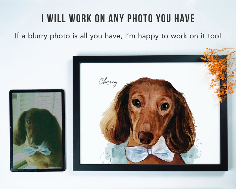 May include: A watercolor painting of a brown dachshund wearing a blue bow tie. The dog's name, "Chesney", is written in cursive above the dog.