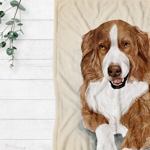 K&ouml;nnte beinhalten: Ein Aquarellbild eines braunen und wei&szlig;en Hundes mit wei&szlig;er Brust und Pfoten. Der Hund liegt und schaut den Betrachter mit einem gl&uuml;cklichen Ausdruck an.