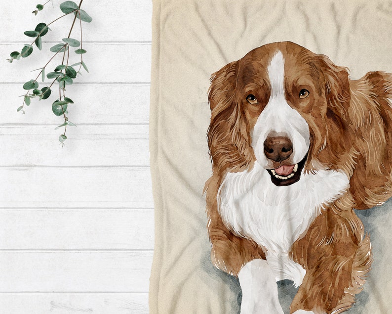 K&ouml;nnte beinhalten: Ein Aquarellbild eines braunen und wei&szlig;en Hundes mit wei&szlig;er Brust und Pfoten. Der Hund liegt und schaut den Betrachter mit einem gl&uuml;cklichen Ausdruck an.
