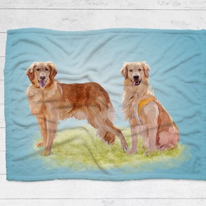 K&ouml;nnte beinhalten: Zwei Golden Retriever auf einer blauen und wei&szlig;en Fleece-Decke. Ein Hund tr&auml;gt eine gelbe Weste. Die Hunde stehen auf einem St&uuml;ck gr&uuml;nem Gras.