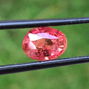 Padparadscha Sapphire Oval 1.02 cart Padparadscha Sapphire for Engagement Ring, Certified Loose Padparadscha Sapphire