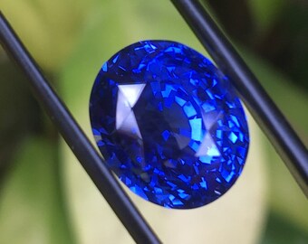 May include: A brilliant, oval-cut sapphire gemstone, held by black tweezers. The sapphire displays a deep, vibrant blue hue with facets that catch the light. The background is a soft, blurred green, suggesting foliage.