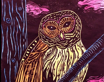 Barred Owl