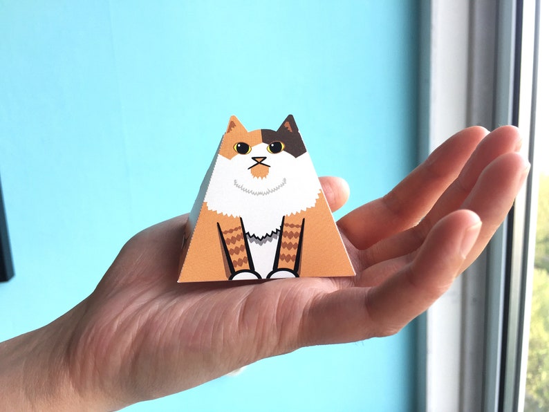 Cats On Stuff image 5