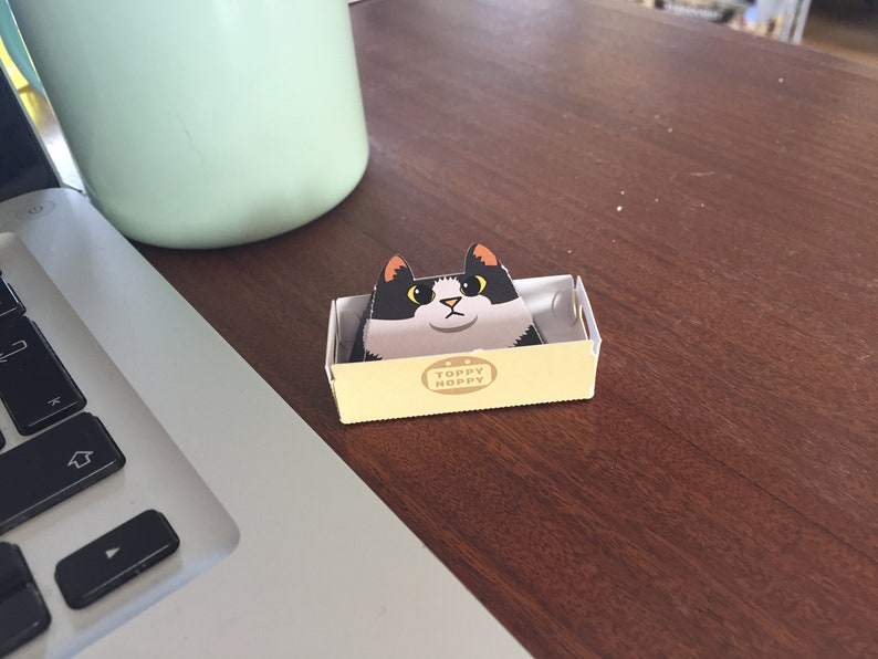 Cats On Stuff image 7