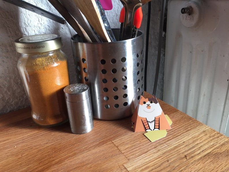 Cats On Stuff image 8