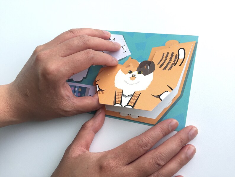 Cats On Stuff image 3