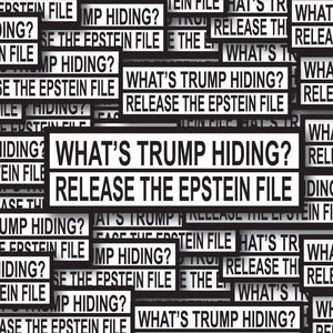 May include: A collage of rectangular signs with black text on a white background. The signs read "WHAT'S TRUMP HIDING?" and "RELEASE THE EPSTEIN FILE". The signs are layered and overlapping.
