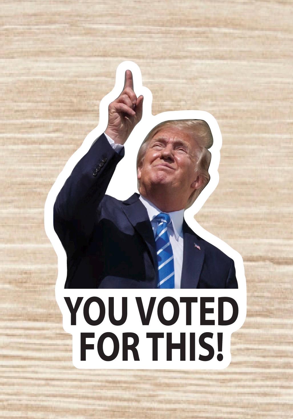 Trump “You Voted For This!”Sticker sheet, die cut waterproof vinyl decals -  30 Stickers