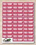 Fuck Trump Sticker sheet, vinyl decals - 32 Stickers