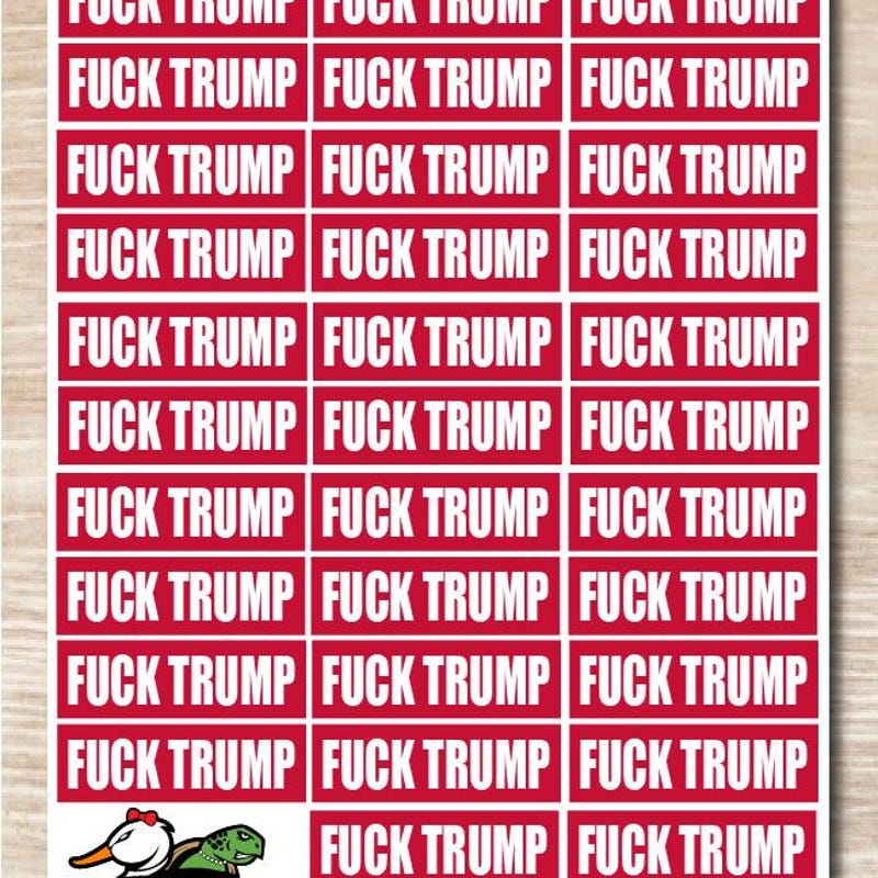 Trump Protest Decals - Etsy UK