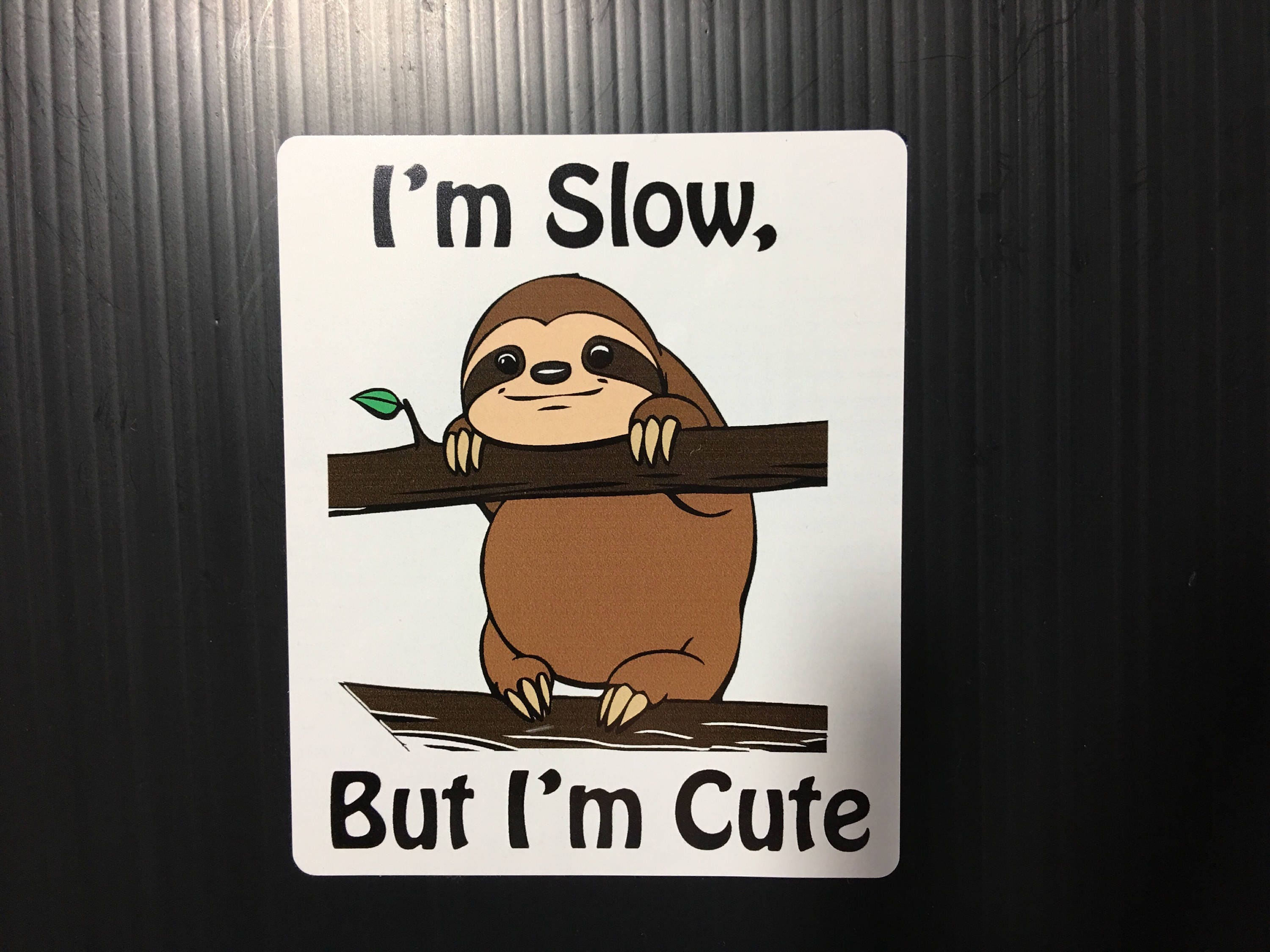 Sloth am I slow Sticker for Sale by ironydesigns