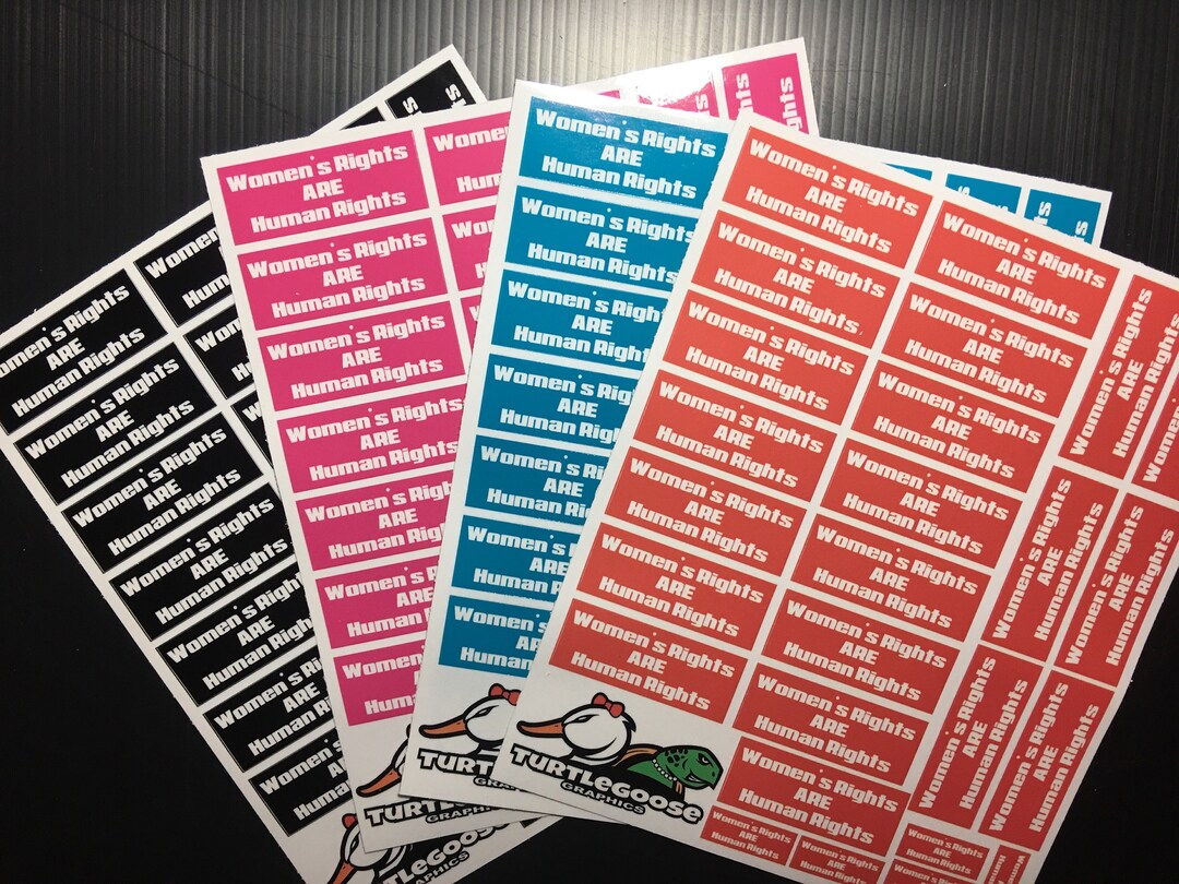 Women's Rights ARE Human Rights Laminated Sticker Sheet, 26 Vinyl ...